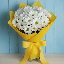 Букет цветов из:  Хризантемы в Большое Нагаткино