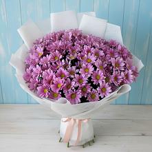 Букет цветов из:  Хризантемы в Большое Нагаткино