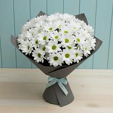 Букет цветов из:  Хризантемы в Большое Нагаткино