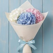 Букет цветов из:  Гортензия в Большое Нагаткино