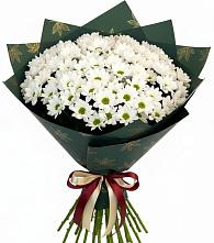 Букет цветов из:  Хризантемы в Большое Нагаткино