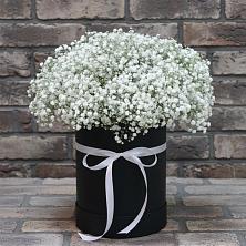 Цветочная композиция из Гипсофила в шляпной коробке в Большое Нагаткино