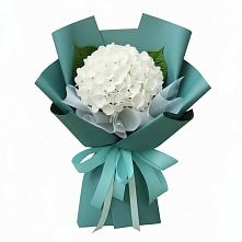 Букет цветов из:  Гортензия в Большое Нагаткино
